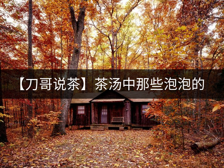 【刀哥說(shuō)茶】茶湯中那些泡泡的始作俑者，茶皂素只是其中一個(gè)