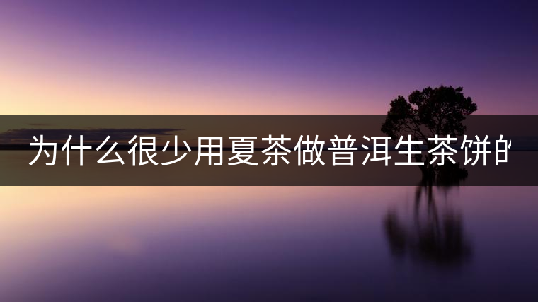 為什么很少用夏茶做普洱生茶餅的？