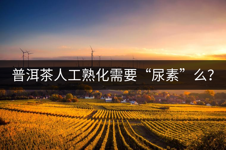 普洱茶人工熟化需要“尿素”么？