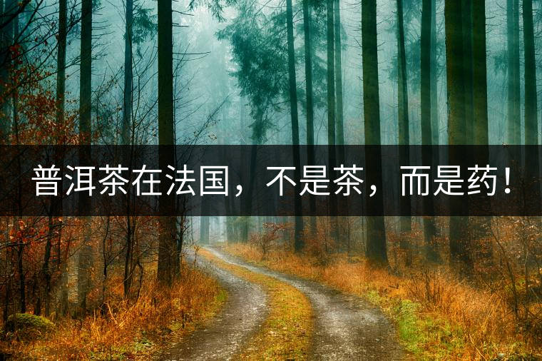 普洱茶在法國(guó)，不是茶，而是藥！