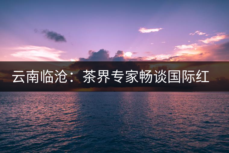 云南臨滄:茶界專家暢談國際紅茶助推紅茶產(chǎn)業(yè)創(chuàng)新發(fā)展 云南臨滄:茶界專家暢談國際紅茶助推紅茶產(chǎn)業(yè)創(chuàng)新發(fā)展