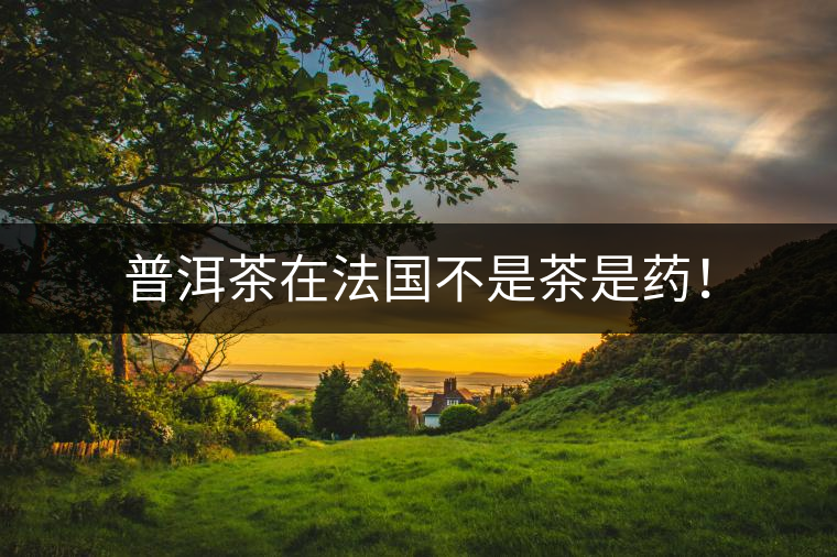 普洱茶在法國不是茶是藥! 普洱茶在法國不是茶是藥!