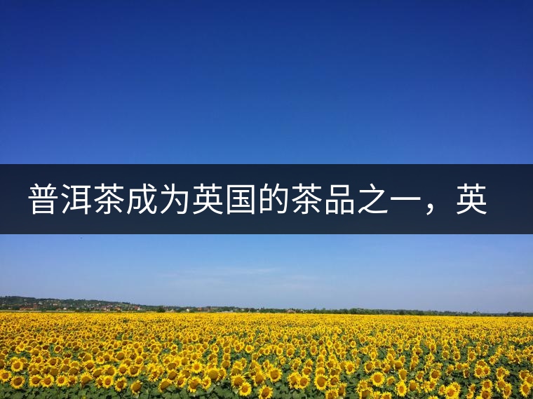 普洱茶成為英國的茶品之一,英國雜志給出7大理由 普洱茶成為英國的茶品之一,英國雜志給出7大理由