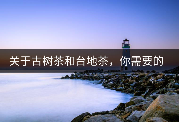 關(guān)于古樹茶和臺地茶，你需要的知識全在這里了