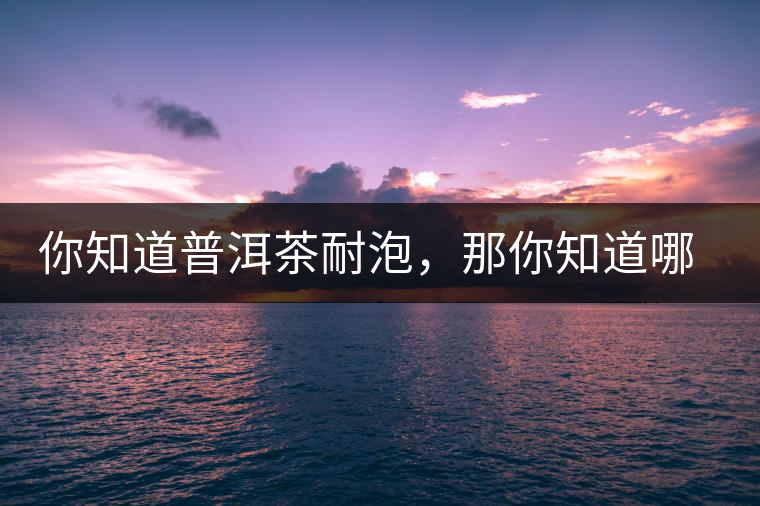 你知道普洱茶耐泡，那你知道哪一類普洱茶比較耐泡？