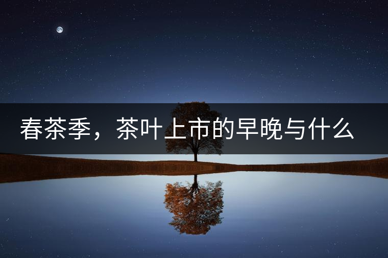 春茶季，茶葉上市的早晚與什么有關(guān)