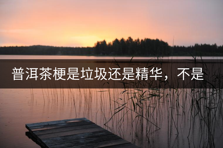 普洱茶梗是垃圾還是精華，不是一個(gè)人說的算