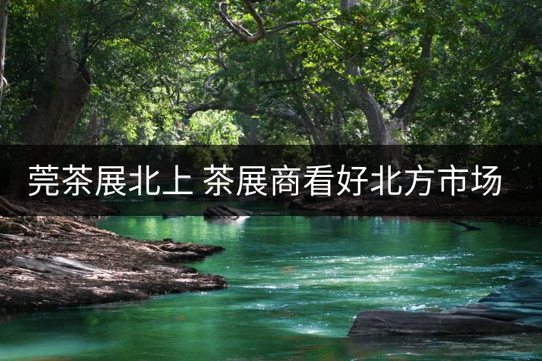 莞茶展北上 茶展商看好北方市場(chǎng)！