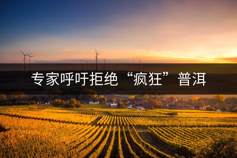 專家呼吁拒絕“瘋狂”普洱