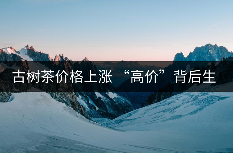 古樹(shù)茶價(jià)格上漲 “高價(jià)”背后生態(tài)環(huán)境令人擔(dān)憂 古樹(shù)茶價(jià)格上漲 “高價(jià)”背后生態(tài)環(huán)境令人擔(dān)憂