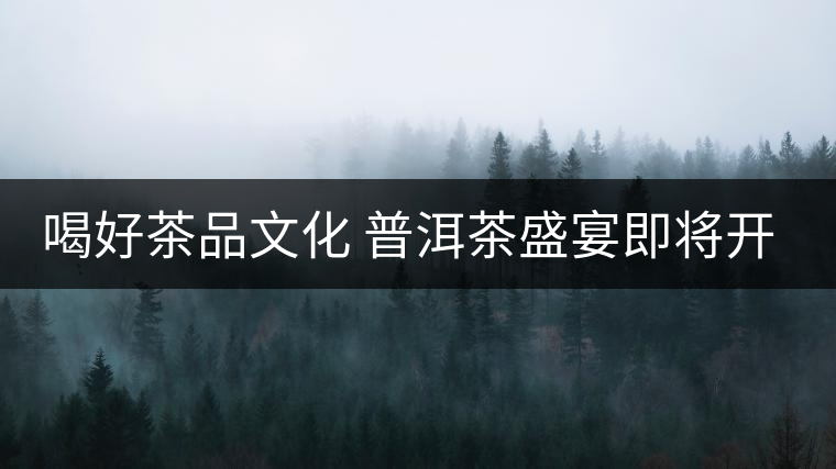 喝好茶品文化 普洱茶盛宴即將開場(chǎng) 喝好茶品文化 普洱茶盛宴即將開場(chǎng)