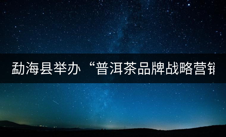 勐?？h舉辦“普洱茶品牌戰(zhàn)略營銷專題講座”