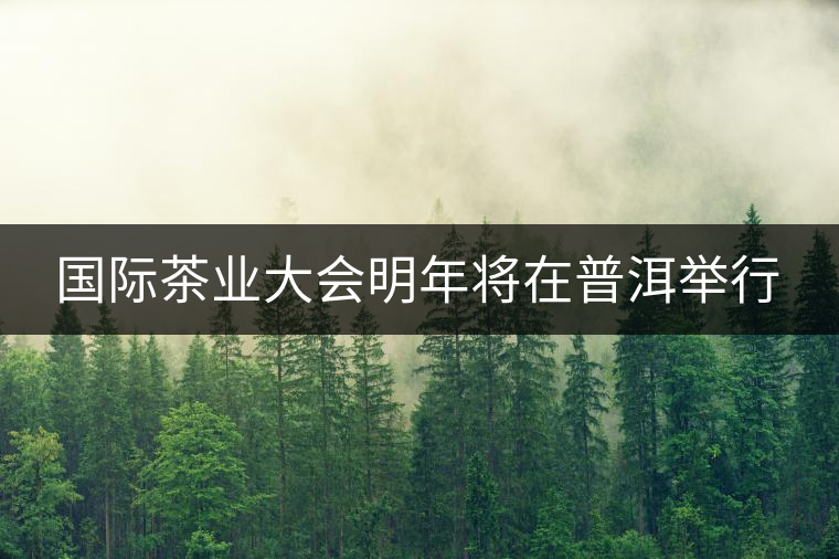 國際茶業(yè)大會(huì)明年將在普洱舉行