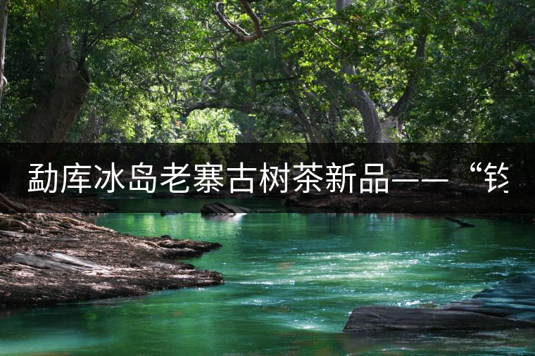 勐庫(kù)冰島老寨古樹茶新品——“鈞翔號(hào)”