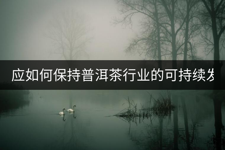 應(yīng)如何保持普洱茶行業(yè)的可持續(xù)發(fā)展？