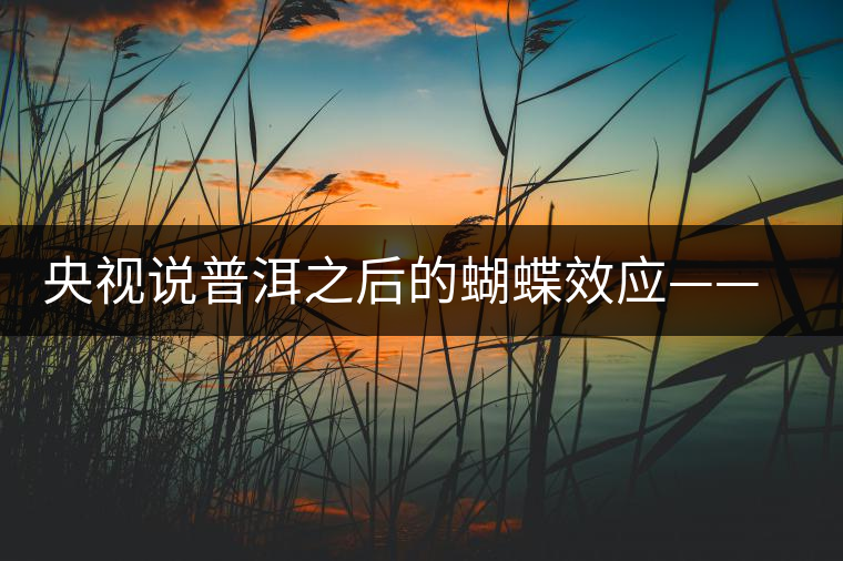 央視說普洱之后的蝴蝶效應(yīng)——過度開采會出現(xiàn)“死循環(huán)”？