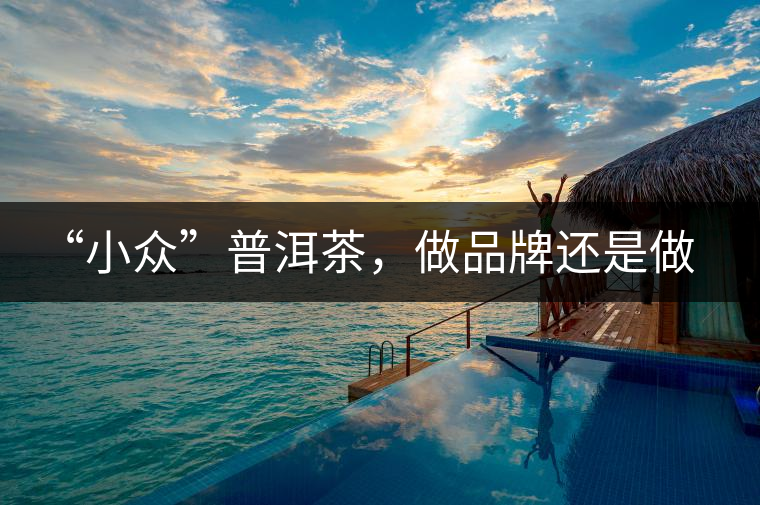 “小眾”普洱茶，做品牌還是做圈子？