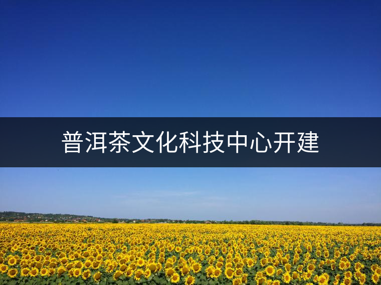 普洱茶文化科技中心開(kāi)建