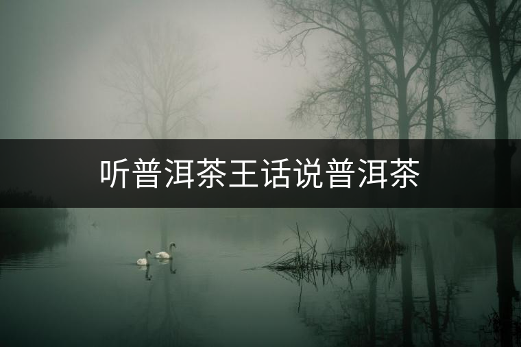 聽(tīng)普洱茶王話(huà)說(shuō)普洱茶