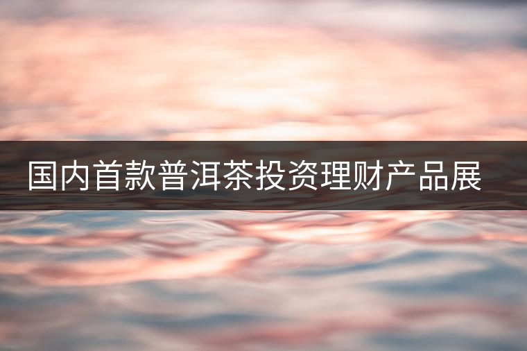 國(guó)內(nèi)首款普洱茶投資理財(cái)產(chǎn)品展開(kāi)路演推介