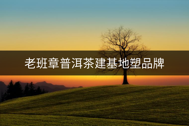 老班章普洱茶建基地塑品牌