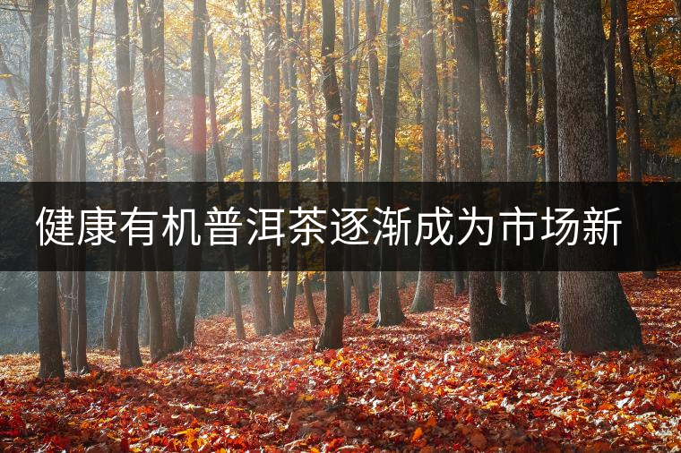 健康有機(jī)普洱茶逐漸成為市場(chǎng)新寵