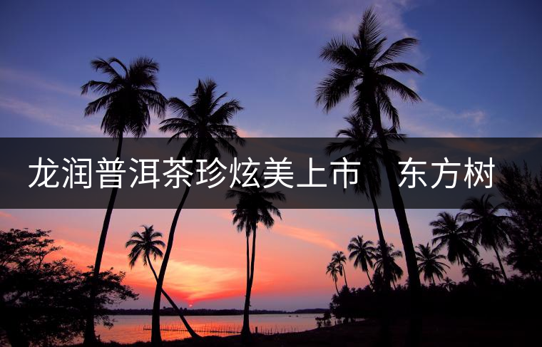 龍潤(rùn)普洱茶珍炫美上市　東方樹(shù)葉再現(xiàn)神奇