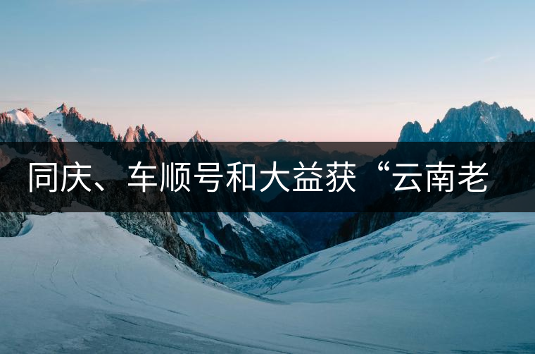 同慶、車順號和大益獲“云南老字號”稱號