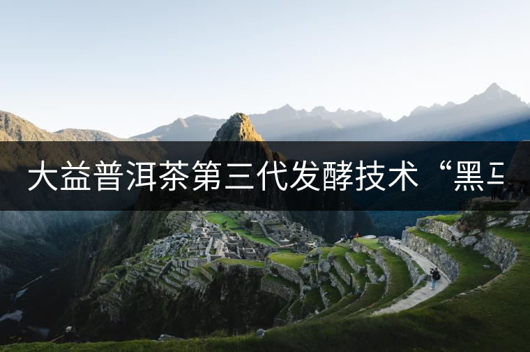 大益普洱茶第三代發(fā)酵技術“黑馬”