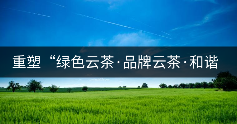 重塑“綠色云茶·品牌云茶·和諧云茶”新形象 重塑“綠色云茶·品牌云茶·和諧云茶”新形象