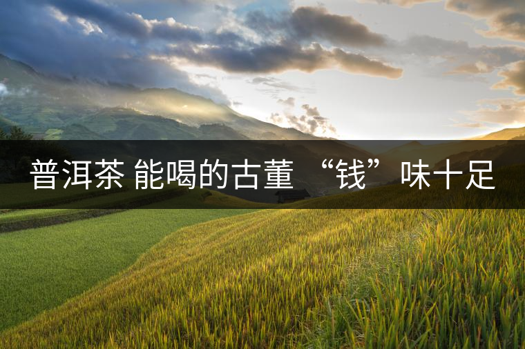 普洱茶 能喝的古董 “錢(qián)”味十足 普洱茶 能喝的古董 “錢(qián)”味十足