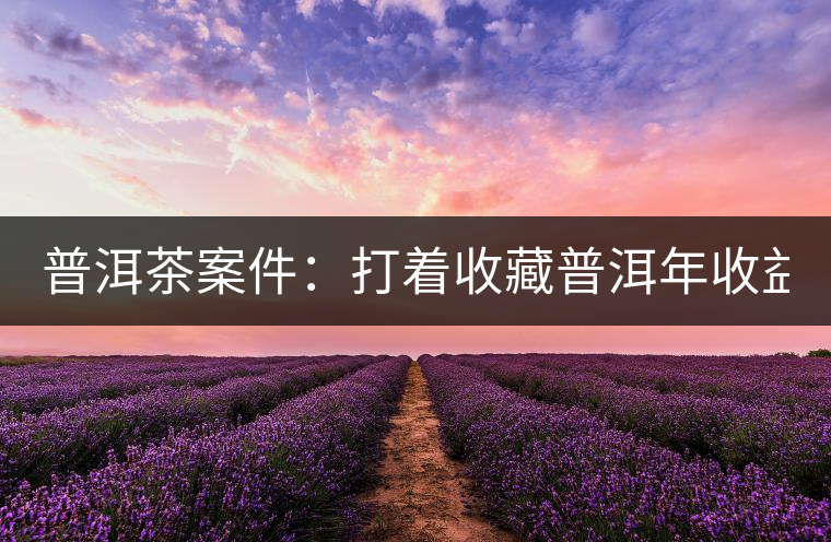 普洱茶案件：打著收藏普洱年收益不低于16%，非法吸收公眾存款