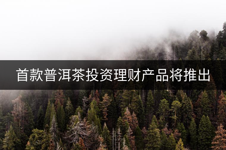 首款普洱茶投資理財產品將推出