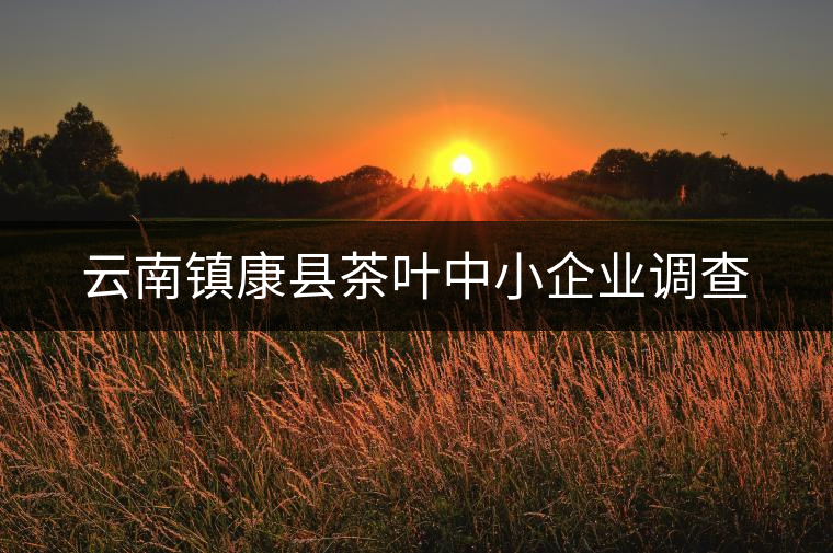 云南鎮(zhèn)康縣茶葉中小企業(yè)調(diào)查