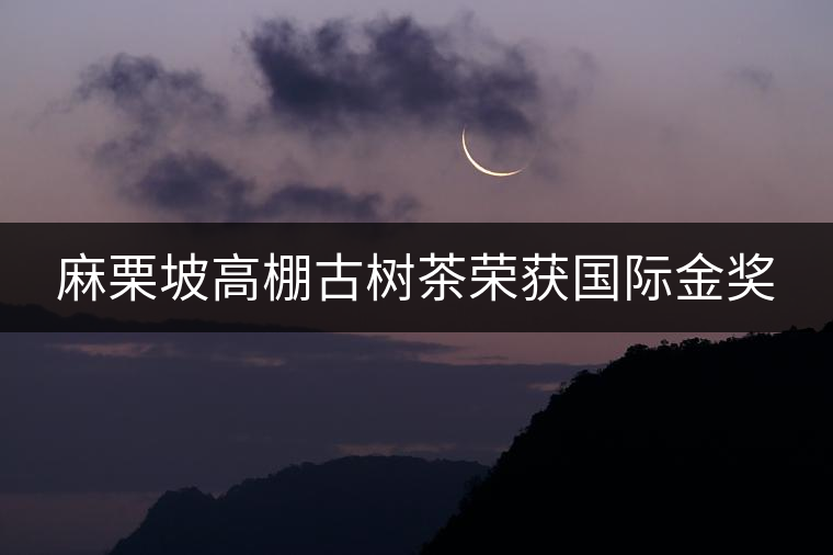 麻栗坡高棚古樹茶榮獲國(guó)際金獎(jiǎng)