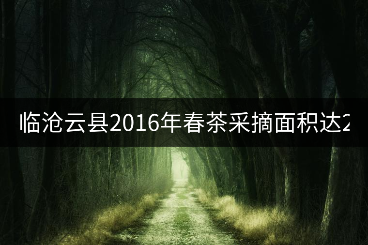 臨滄云縣2016年春茶采摘面積達(dá)202605畝，同比增長3.28%