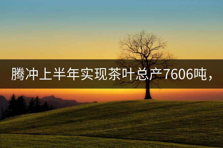 騰沖上半年實(shí)現(xiàn)茶葉總產(chǎn)7606噸，總產(chǎn)值5.58億元