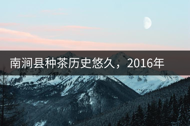 南澗縣種茶歷史悠久，2016年被評(píng)為全國(guó)十大生態(tài)產(chǎn)茶縣