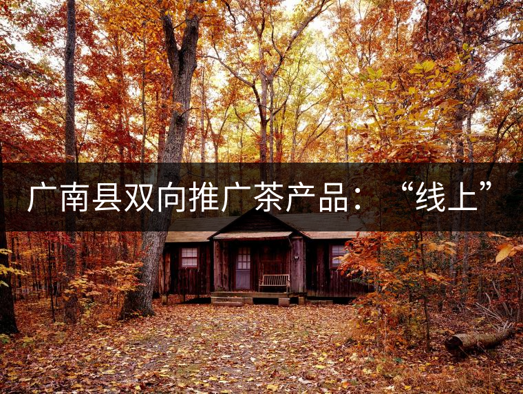 廣南縣雙向推廣茶產品：“線上”銷售茶葉已有100多家，“線下”銷售額已達百萬