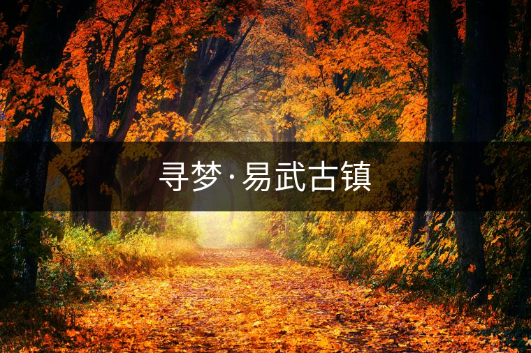 尋夢(mèng)·易武古鎮(zhèn)