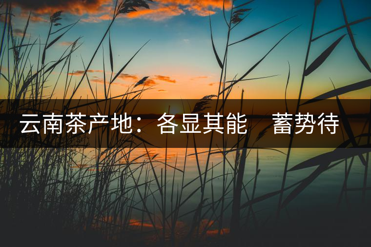 云南茶產(chǎn)地:各顯其能 蓄勢(shì)待發(fā) 云南茶產(chǎn)地:各顯其能 蓄勢(shì)待發(fā)