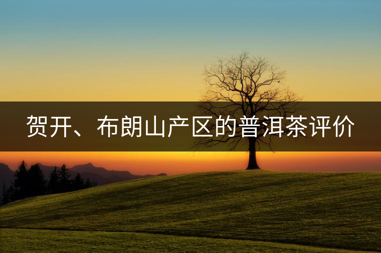 賀開(kāi)、布朗山產(chǎn)區(qū)的普洱茶評(píng)價(jià)