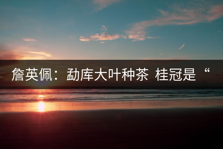 詹英佩：勐庫(kù)大葉種茶  桂冠是“正宗”