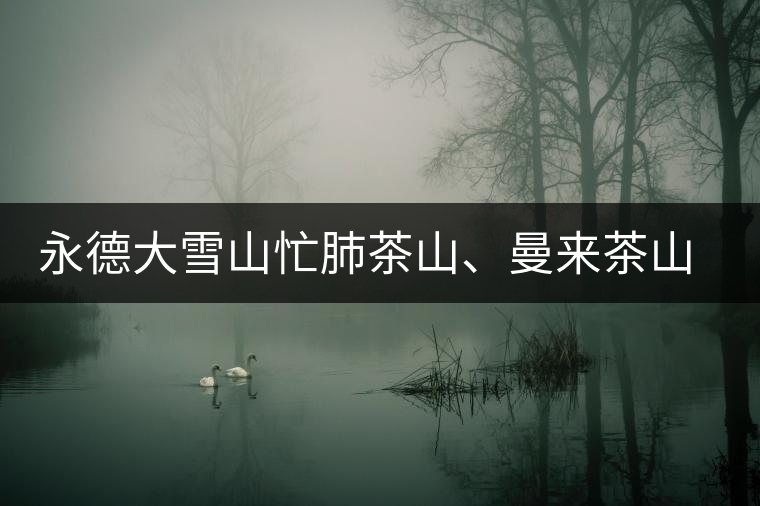 永德大雪山忙肺茶山、曼來茶山、放牛場茶園的生態(tài)指數(shù)