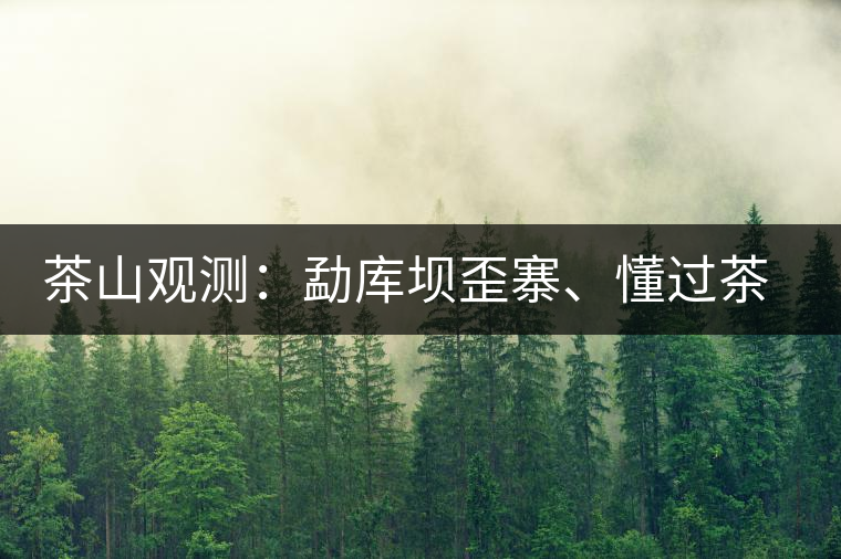 茶山觀測(cè)：勐庫(kù)壩歪寨、懂過(guò)茶山、大戶寨等茶山的生態(tài)指數(shù)
