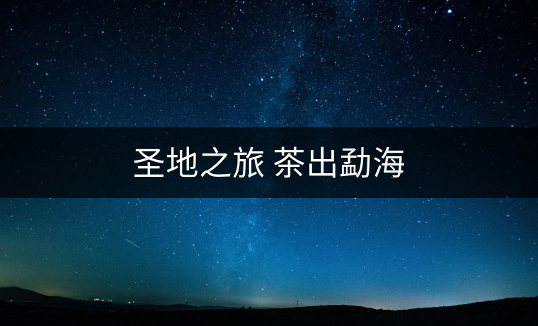 圣地之旅 茶出勐海