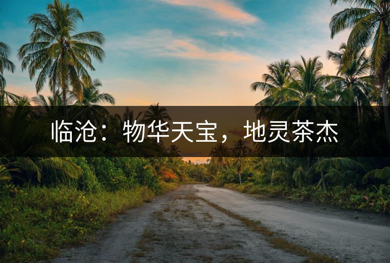 臨滄：物華天寶，地靈茶杰