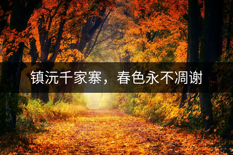 鎮(zhèn)沅千家寨，春色永不凋謝