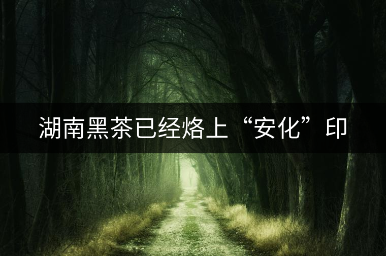 湖南黑茶已經烙上“安化”印