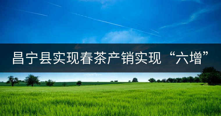 昌寧縣實(shí)現(xiàn)春茶產(chǎn)銷(xiāo)實(shí)現(xiàn)“六增”